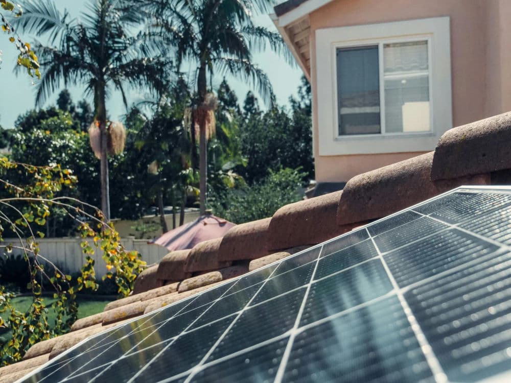 Solar panels on a roof with palm trees and a house in the background on a sunny day.